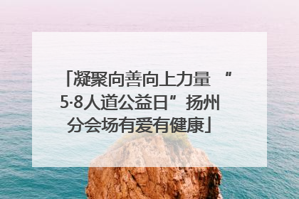 凝聚向善向上力量 “5·8人道公益日”扬州分会场有爱有健康