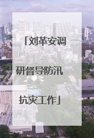 刘革安调研督导防汛抗灾工作