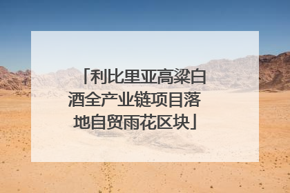 利比里亚高粱白酒全产业链项目落地自贸雨花区块