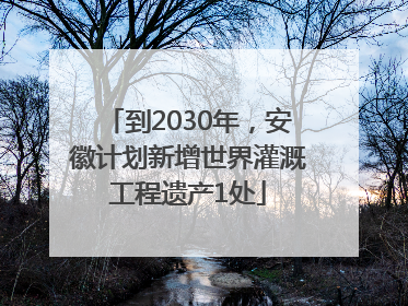 到2030年，安徽计划新增世界灌溉工程遗产1处