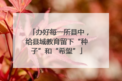 办好每一所县中，给县域教育留下“种子”和“希望”