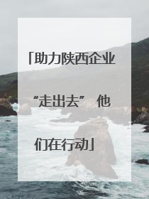 助力陕西企业“走出去” 他们在行动