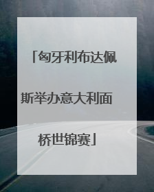 匈牙利布达佩斯举办意大利面桥世锦赛