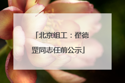 北京组工：翟德罡同志任前公示