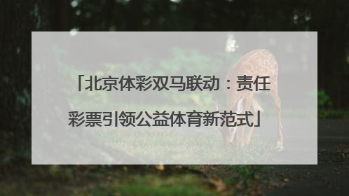 北京体彩双马联动：责任彩票引领公益体育新范式