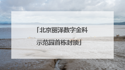 北京丽泽数字金科示范园首栋封顶
