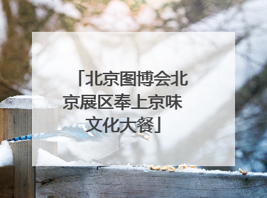 北京图博会北京展区奉上京味文化大餐