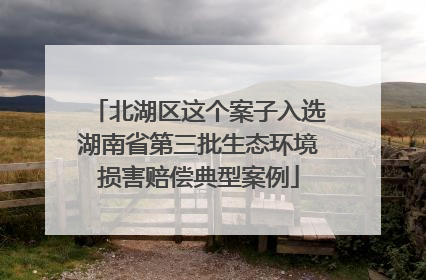 北湖区这个案子入选湖南省第三批生态环境损害赔偿典型案例