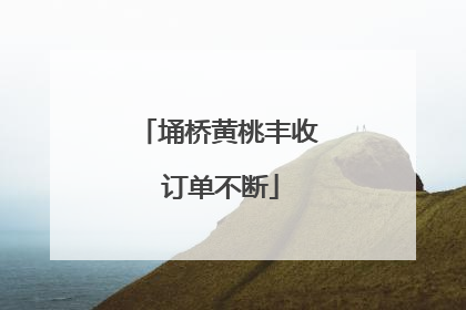 埇桥黄桃丰收 订单不断