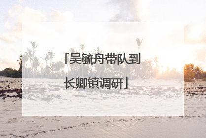 吴毓舟带队到长卿镇调研