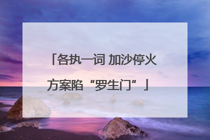 各执一词 加沙停火方案陷“罗生门”