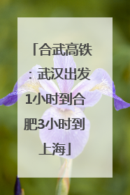 合武高铁：武汉出发1小时到合肥3小时到上海