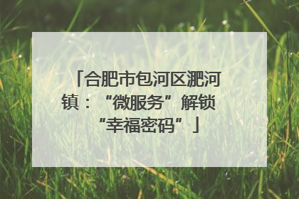 合肥市包河区淝河镇：“微服务”解锁“幸福密码”