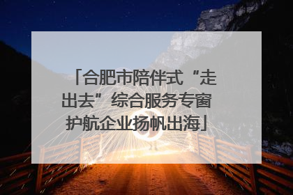 合肥市陪伴式“走出去”综合服务专窗护航企业扬帆出海