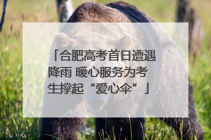 合肥高考首日遭遇降雨 暖心服务为考生撑起“爱心伞”