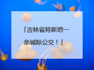 吉林省将新增一条城际公交！