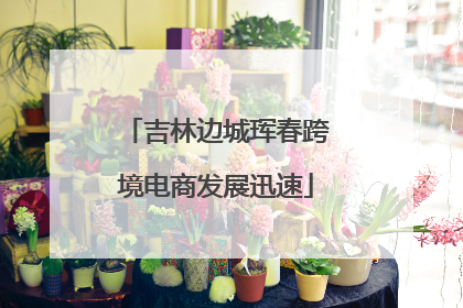 吉林边城珲春跨境电商发展迅速