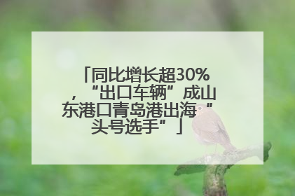 同比增长超30%，“出口车辆”成山东港口青岛港出海“头号选手”