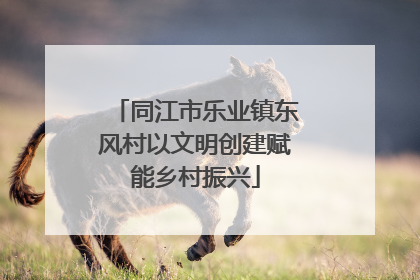 同江市乐业镇东风村以文明创建赋能乡村振兴