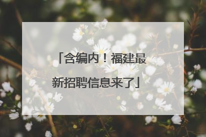含编内！福建最新招聘信息来了