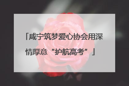 咸宁筑梦爱心协会用深情厚意“护航高考”