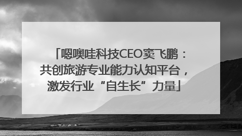 嗯噢哇科技CEO窦飞鹏：共创旅游专业能力认知平台，激发行业“自生长”力量