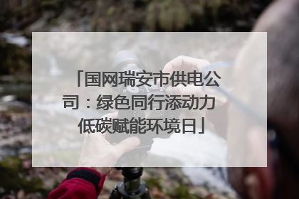 国网瑞安市供电公司：绿色同行添动力 低碳赋能环境日