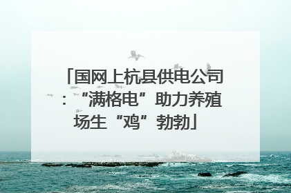 国网上杭县供电公司：“满格电”助力养殖场生“鸡”勃勃