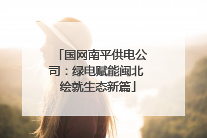 国网南平供电公司：绿电赋能闽北 绘就生态新篇