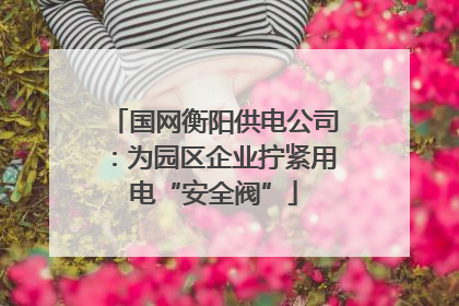 国网衡阳供电公司：为园区企业拧紧用电“安全阀”