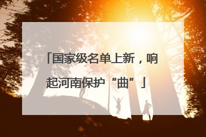 国家级名单上新，响起河南保护“曲”
