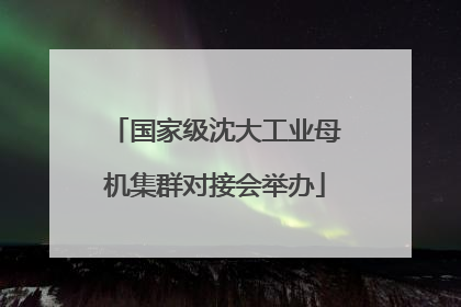 国家级沈大工业母机集群对接会举办