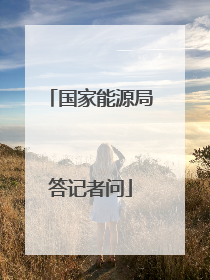 国家能源局答记者问