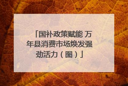 国补政策赋能 万年县消费市场焕发强劲活力（图）