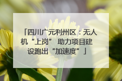 四川广元利州区：无人机“上岗” 助力项目建设跑出“加速度”