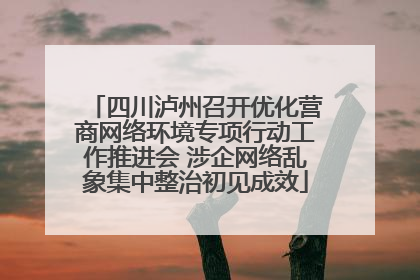 四川泸州召开优化营商网络环境专项行动工作推进会 涉企网络乱象集中整治初见成效