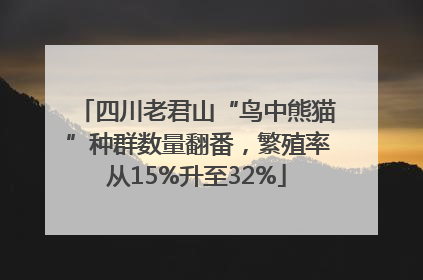 四川老君山“鸟中熊猫”种群数量翻番，繁殖率从15%升至32%