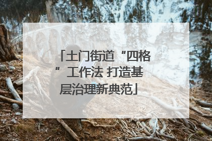 土门街道“四格”工作法 打造基层治理新典范