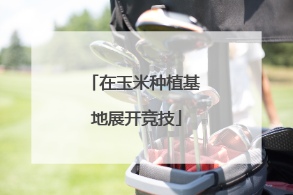 在玉米种植基地展开竞技