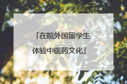 在皖外国留学生体验中医药文化