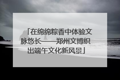 在绵绵粽香中体验文脉悠长——郑州文博织出端午文化新风景