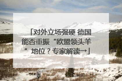 对外立场强硬 德国能否重振“欧盟领头羊”地位？专家解读→