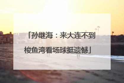 孙继海：来大连不到梭鱼湾看场球挺遗憾