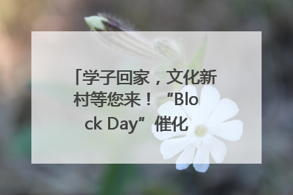 学子回家，文化新村等您来！“Block Day”催化学院式街区新生态