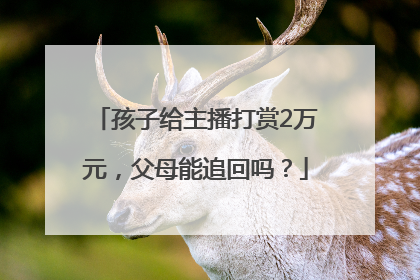 孩子给主播打赏2万元，父母能追回吗？