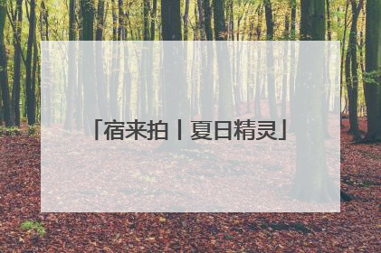 宿来拍丨夏日精灵