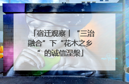 宿迁观察丨“三治融合”下“花木之乡”的诚信涅槃