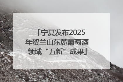 宁夏发布2025年贺兰山东麓葡萄酒领域“五新”成果
