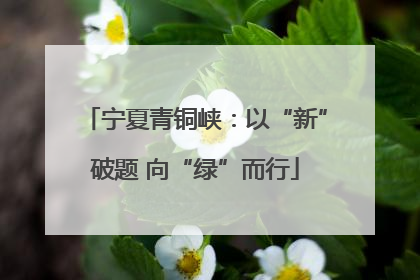 宁夏青铜峡：以“新”破题 向“绿”而行