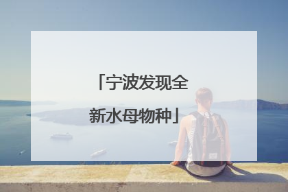 宁波发现全新水母物种